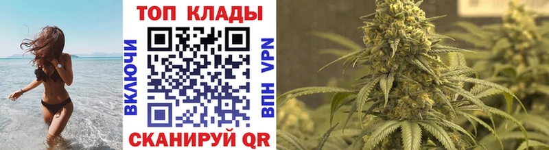 Как найти наркотики Лениногорск A PVP  Бошки Шишки  Меф  Гашиш 