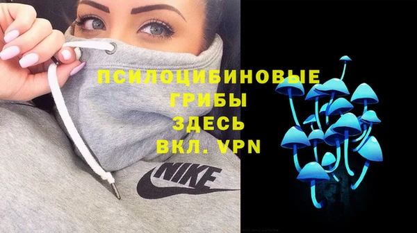 метадон Арсеньев